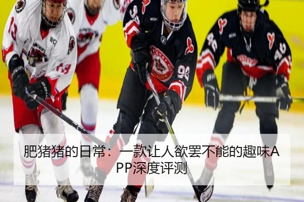 肥猪猪的日常：一款让人欲罢不能的趣味APP深度评测