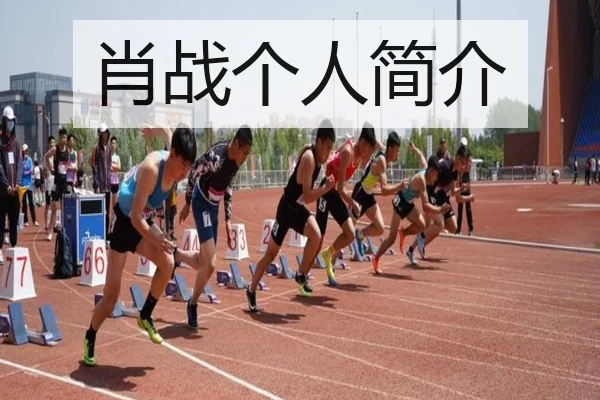 肖战个人简介